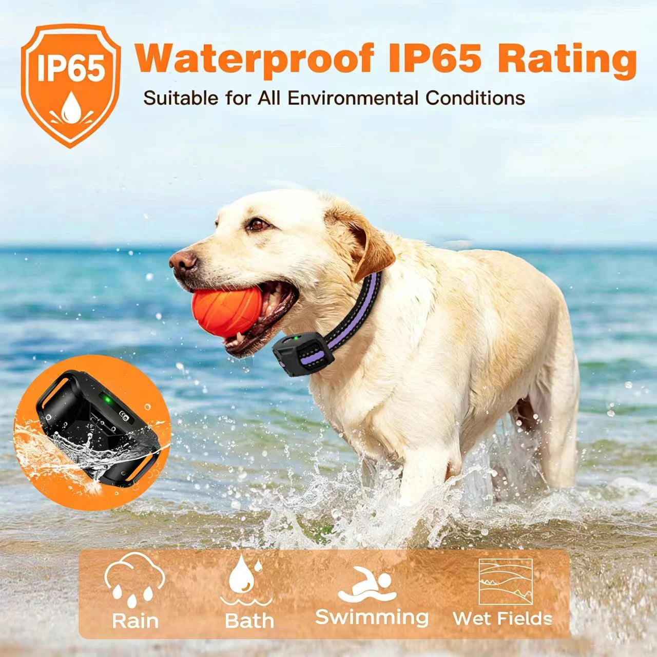WXRPET Waterproof Dog Training Collar Remote Control Beep Vibration