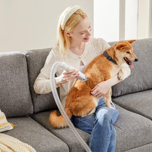Pet Grooming Vacuum Kit With Cordless Low Noise Clippers For Cats
