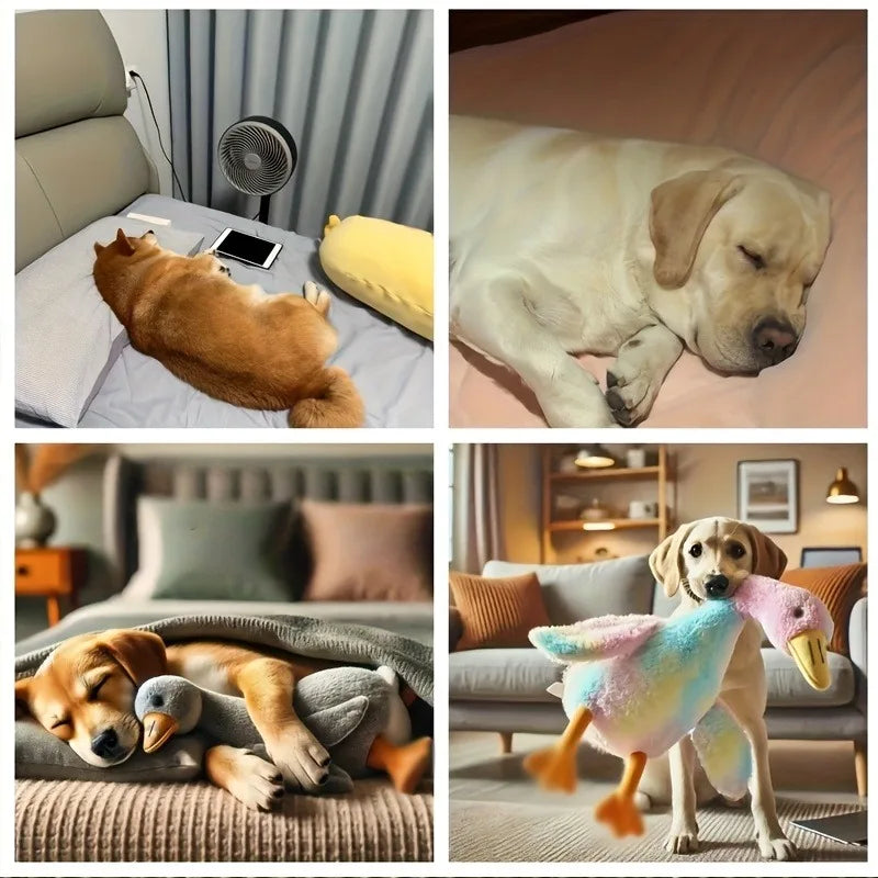 Soft Duck Plush Toy For Cats And Dogs