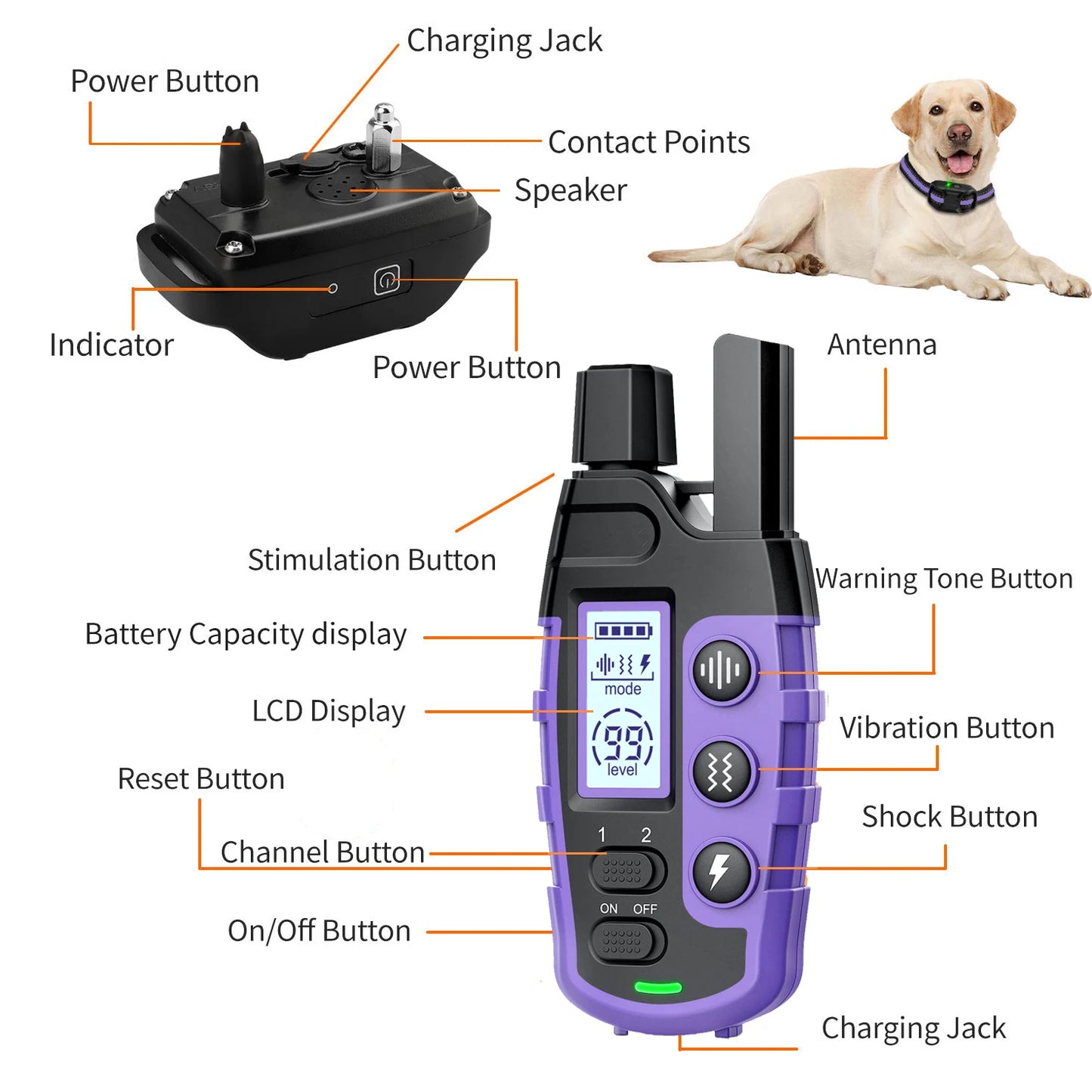 WXRPET Waterproof Dog Training Collar Remote Control Beep Vibration