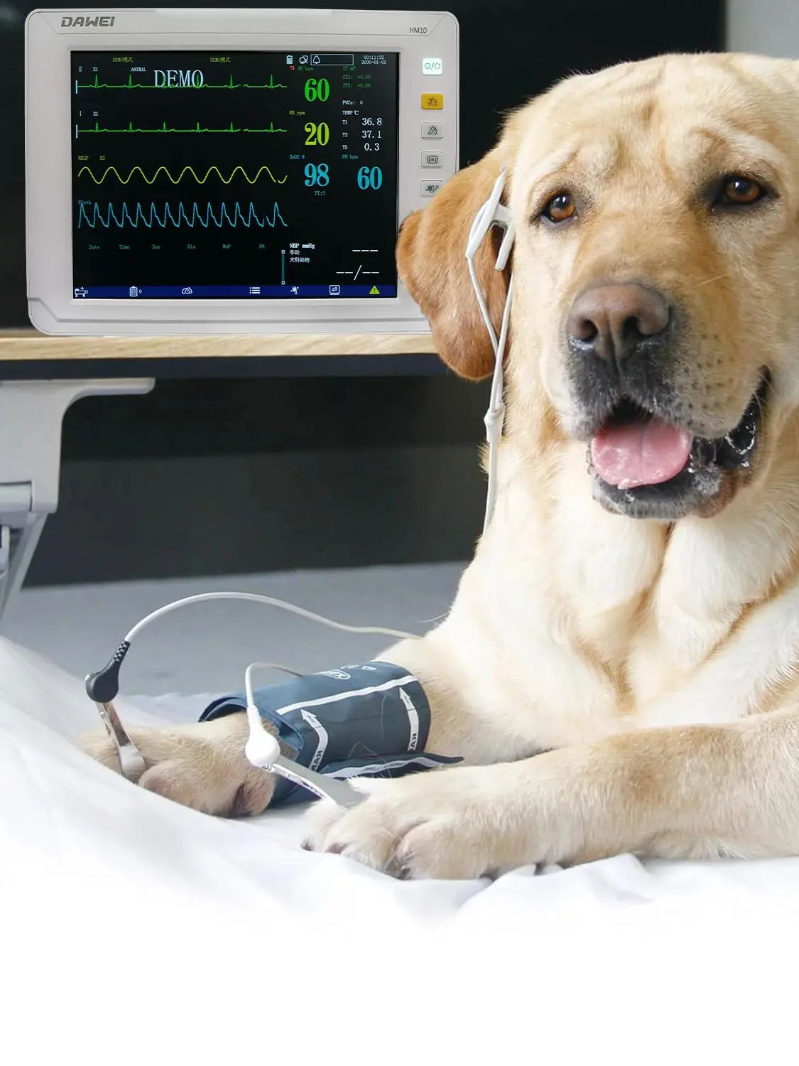 DAWEI Portable Veterinary Monitor 6 Parameter For Dogs And Cats